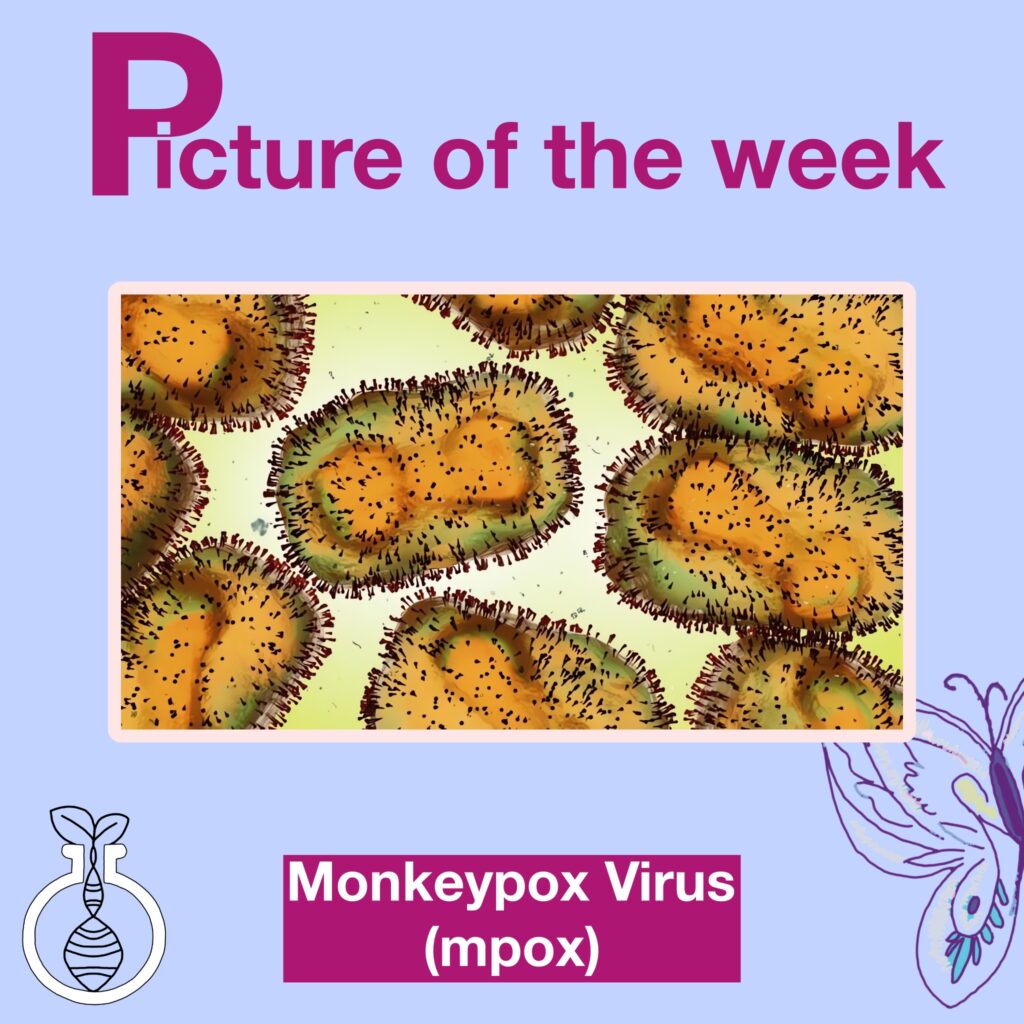 Monkeypox Virus