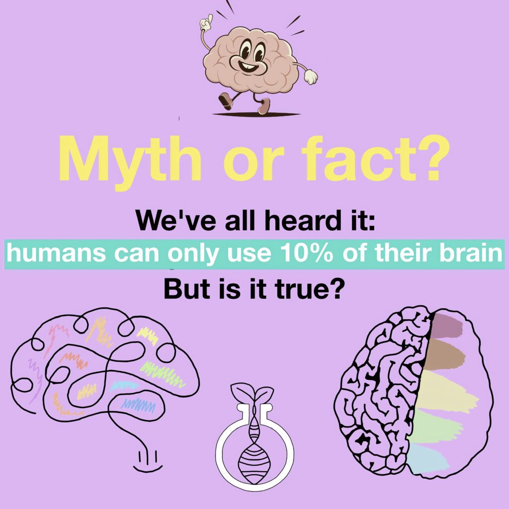 Can we only use 10% of our brain?