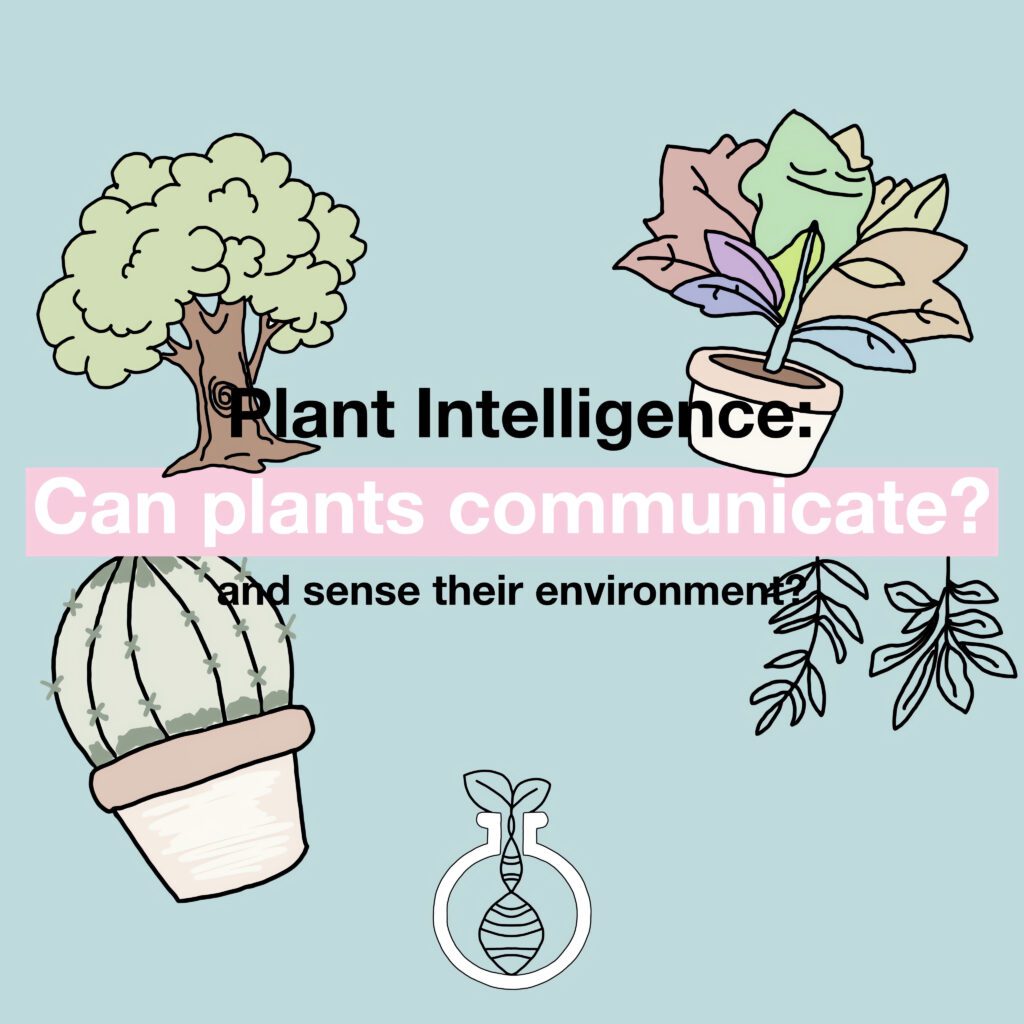 Plant Intelligence: Can plants communicate?