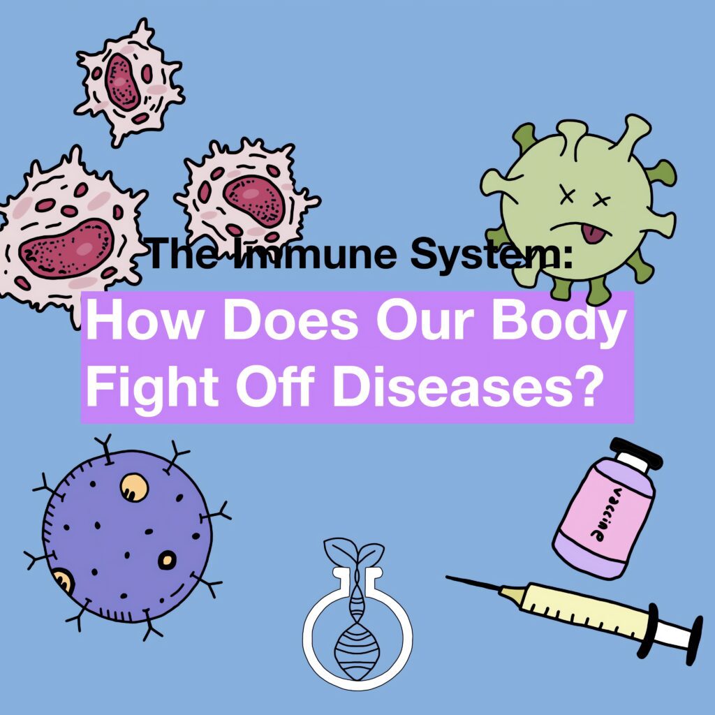 The Immune System: How Does Our Body Fight Off Diseases?