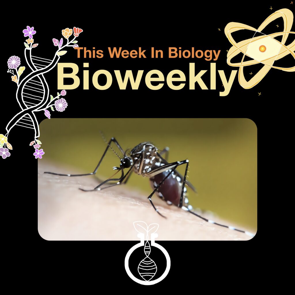 Bioweekly – Mosquito Threat