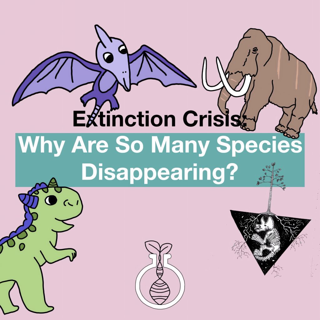 Extinction Crisis: Why Are So Many Species Disappearing?