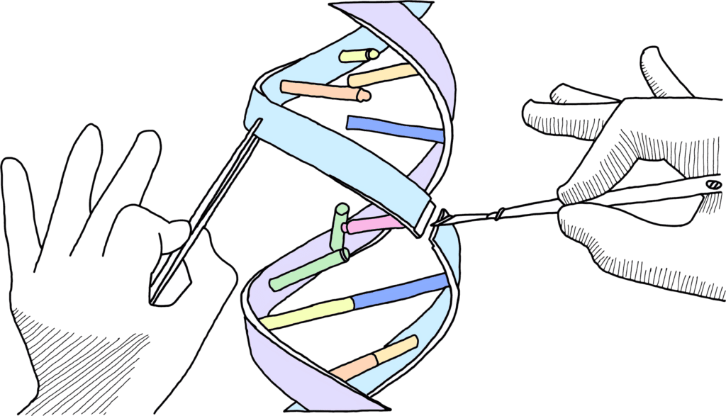 Two hands cutting the DNA