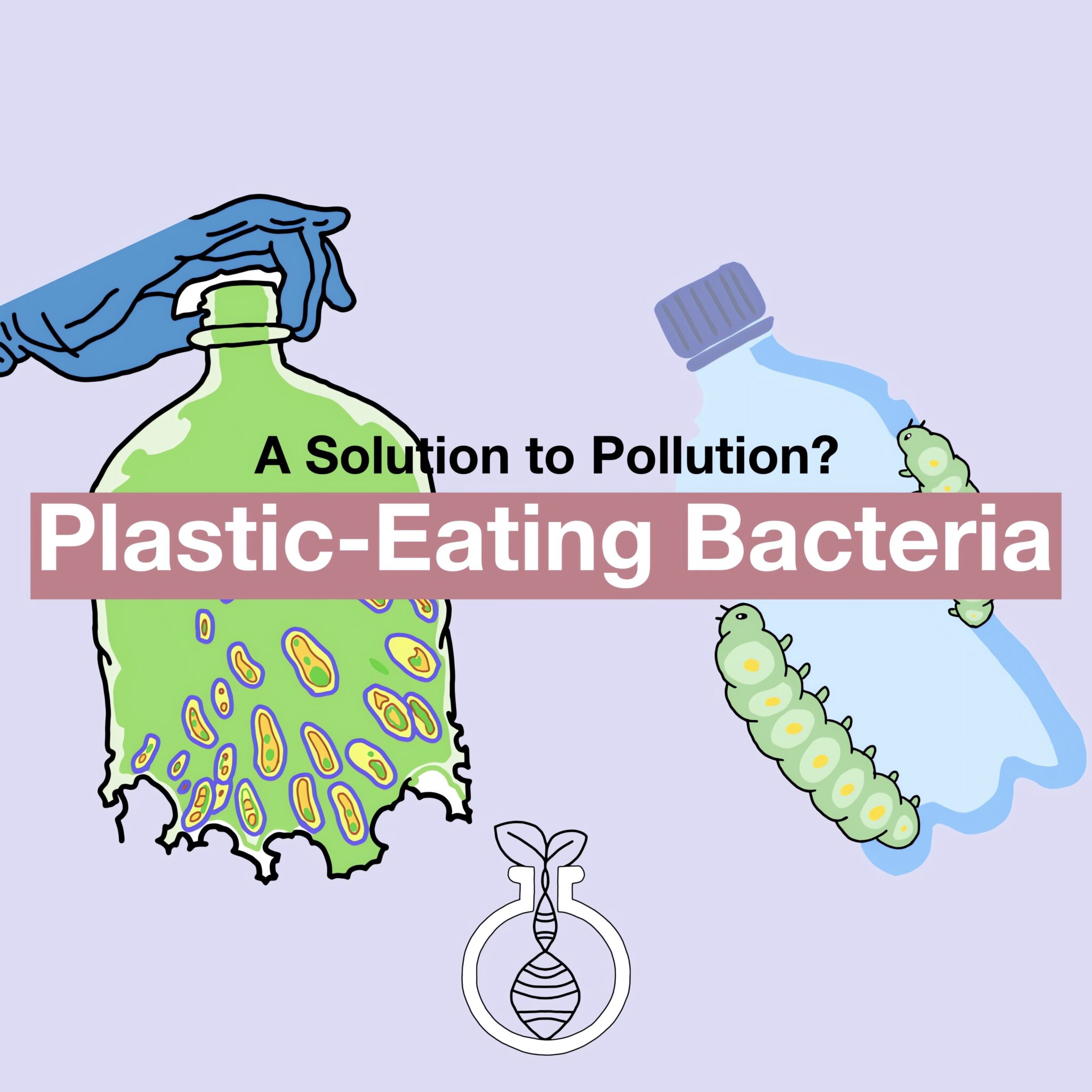 Plastic Eating Bacteria