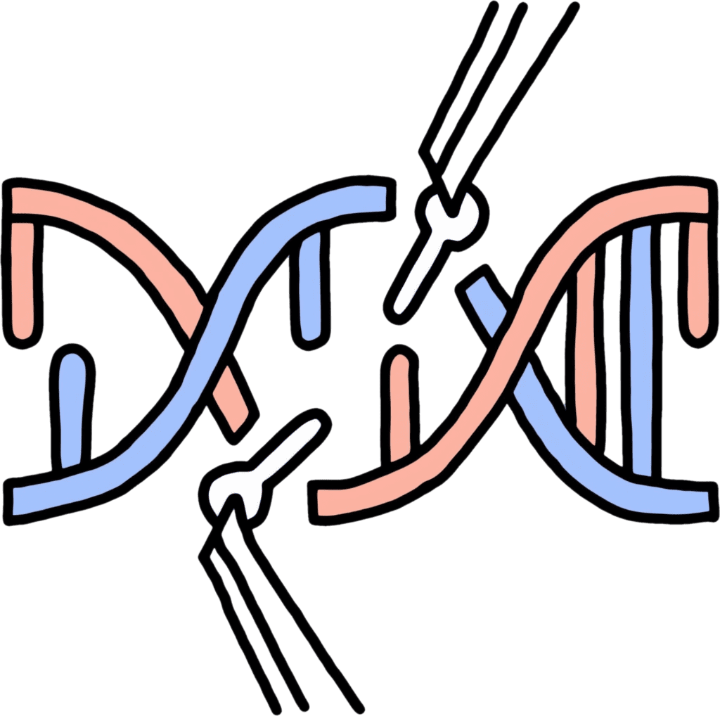 gene editing tool