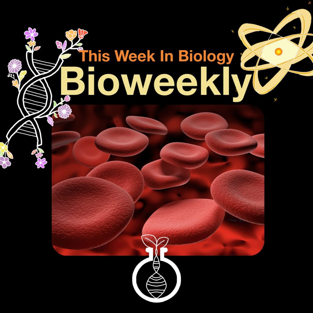 Bioweekly – MAL Blood Group