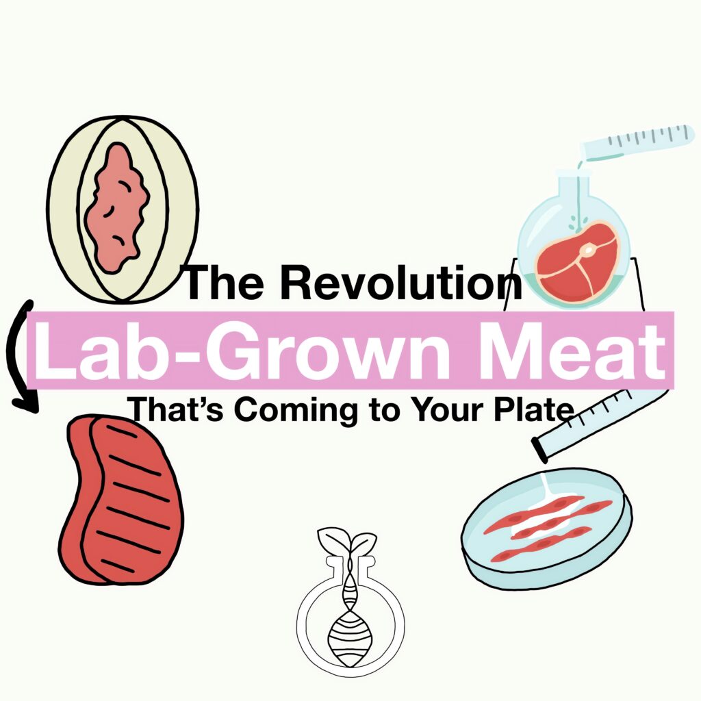 Lab-Grown Meat: The Revolution That’s Coming to Your Plate