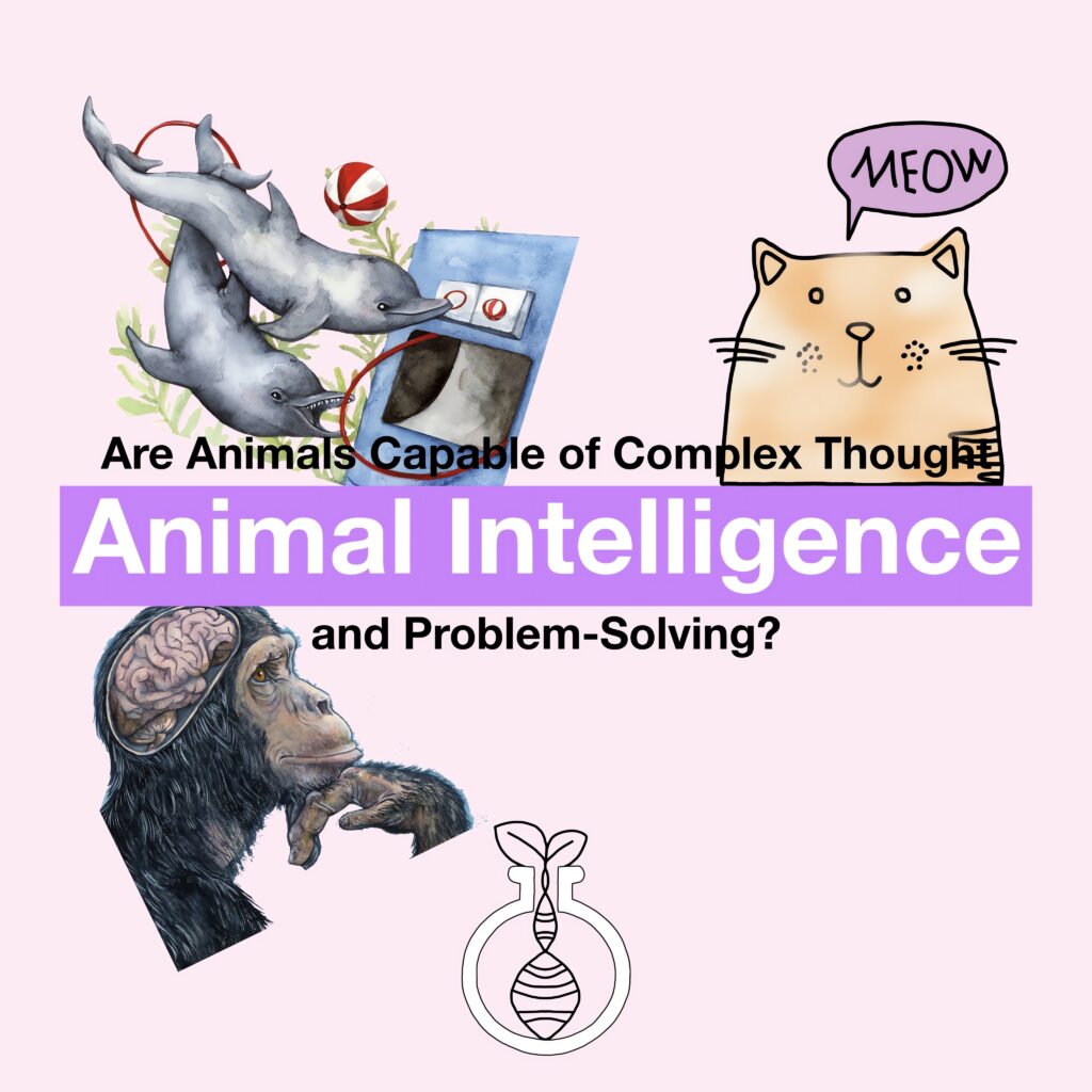 Animal Intelligence: Are Animals Capable of Complex Thought and Problem-Solving?