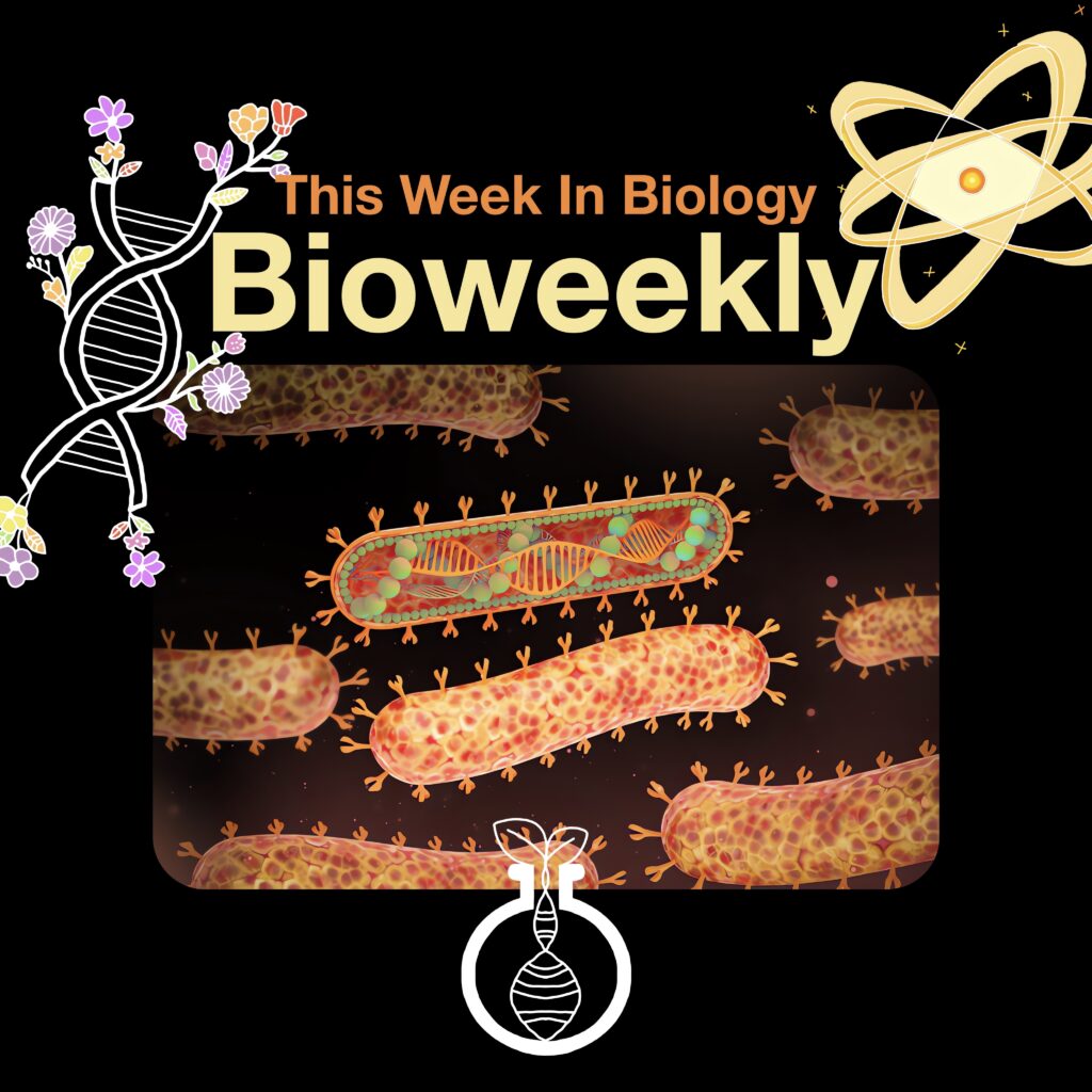 Bioweekly – Marburg Virus 