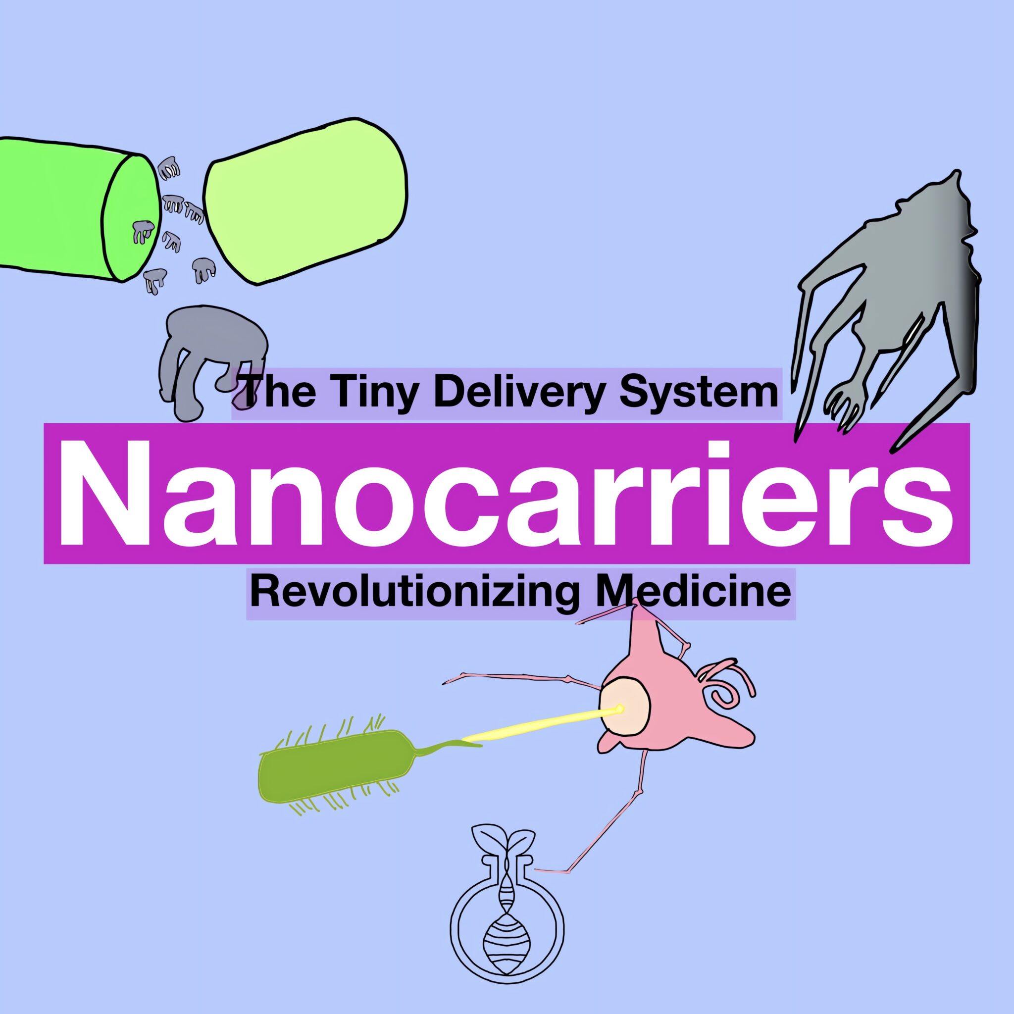 Nanocarriers