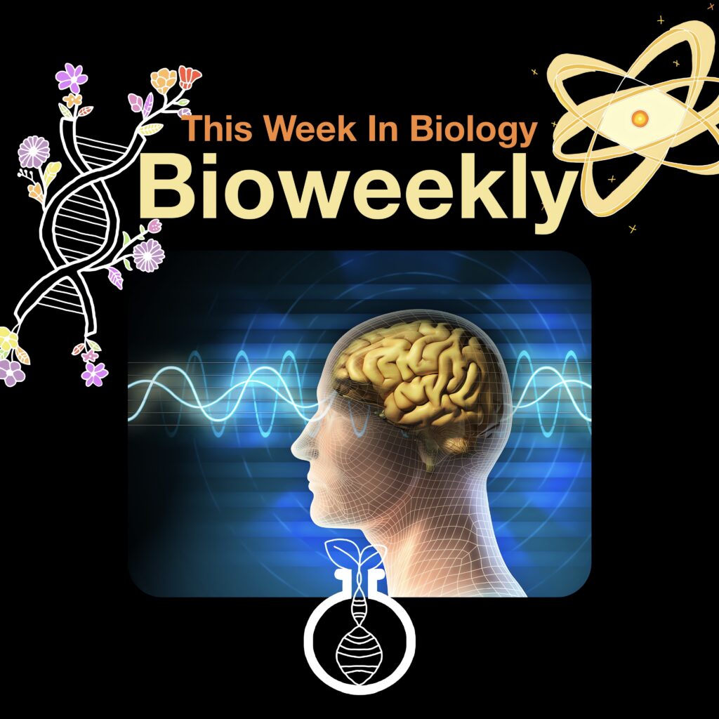 Bioweekly – Poor Sleep & Aging