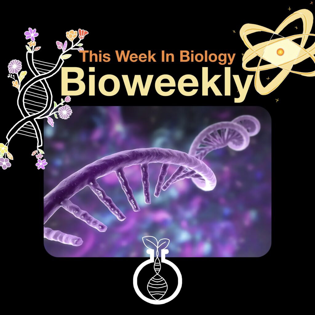 Bioweekly – Gene-Regulating MicroRNAs