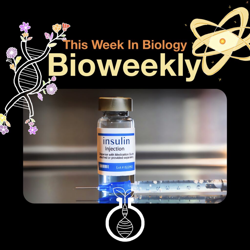 Bioweekly – Smart Insulin