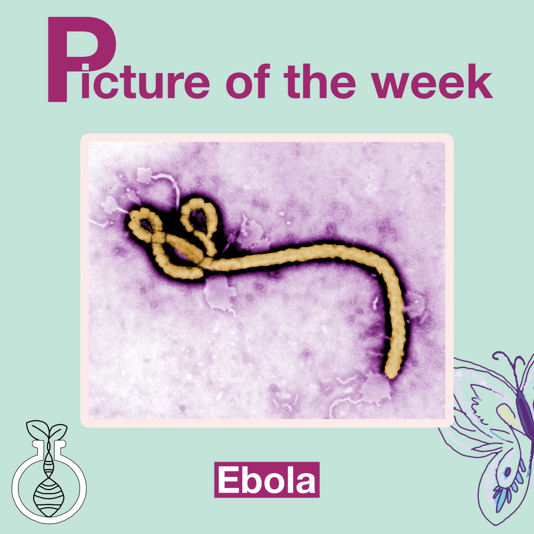 Ebola