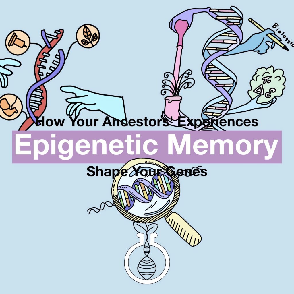 Epigenetic Memory: How Your Ancestors’ Experiences Shape Your Genes