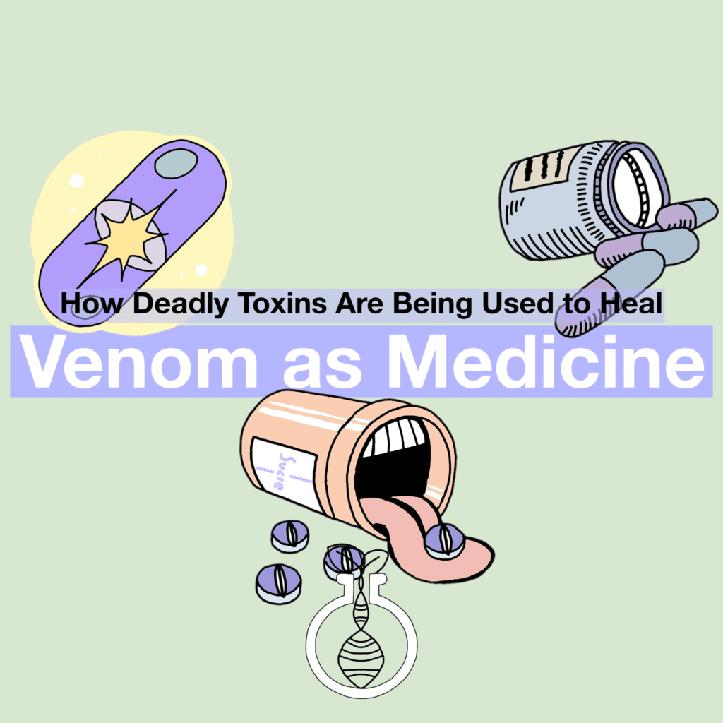 Venom as Medicine: How Deadly Toxins Are Being Used to Heal