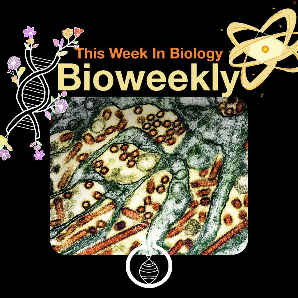 Bioweekly – H5N1 Avian Influenza