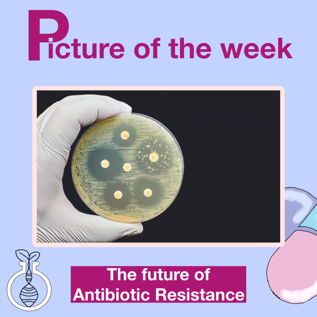 The Future of Antibiotic Resistance