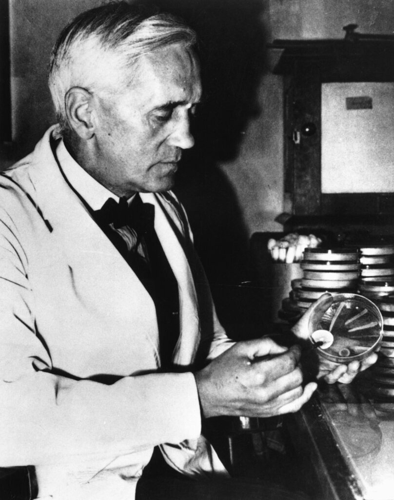 Alexander Fleming is looking for a petri dish.