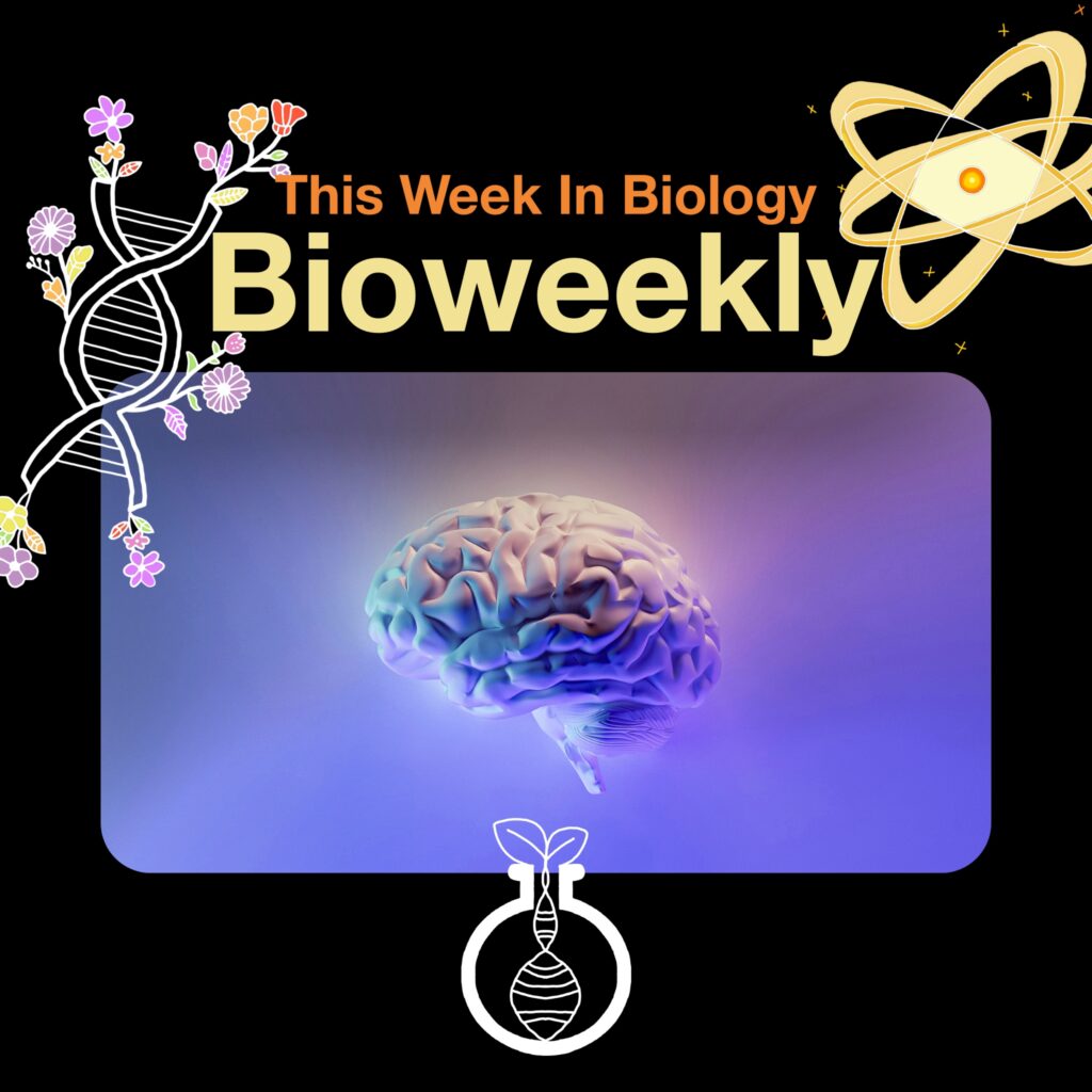 Bioweekly – Heart Has  Its Own Brain