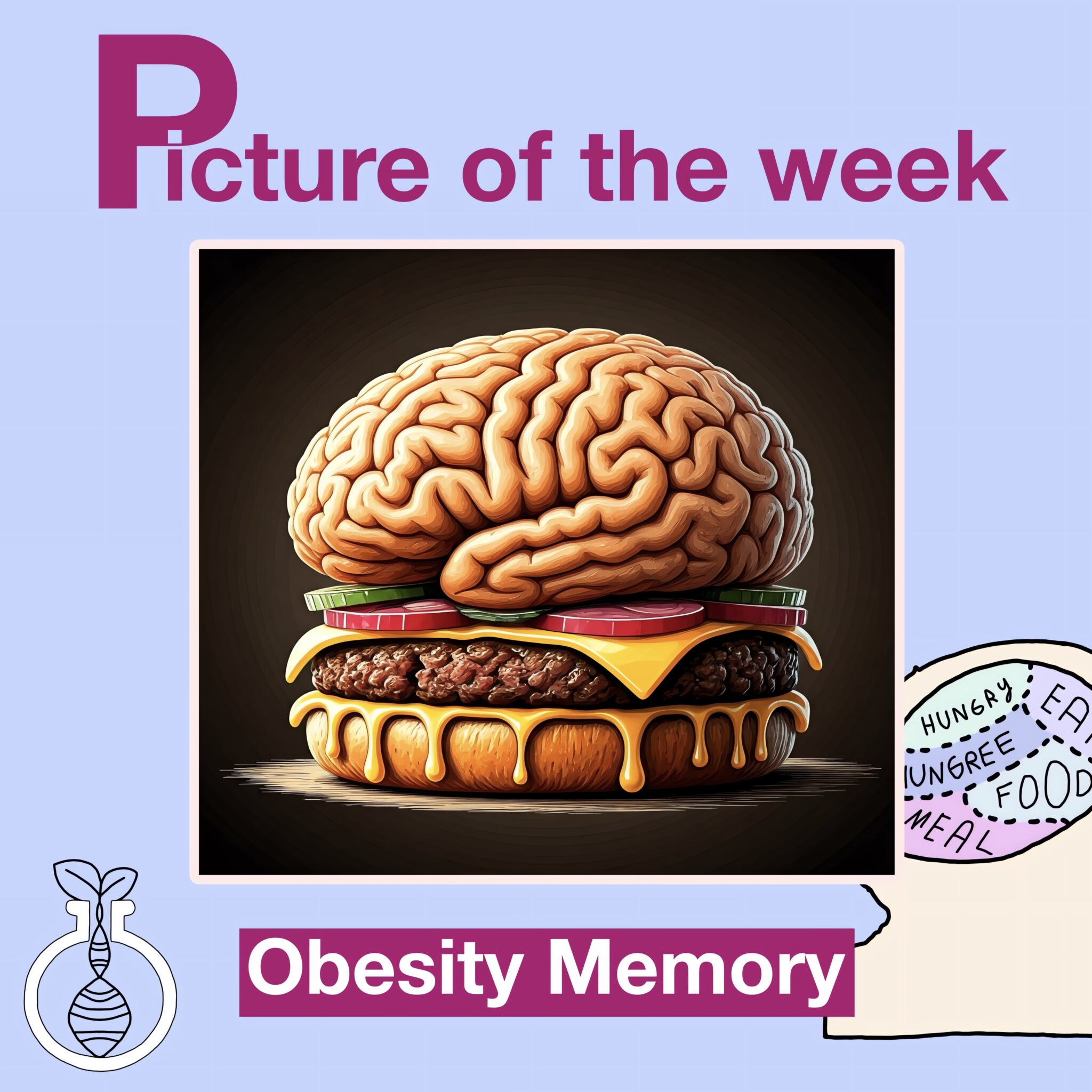 Obesity Memory