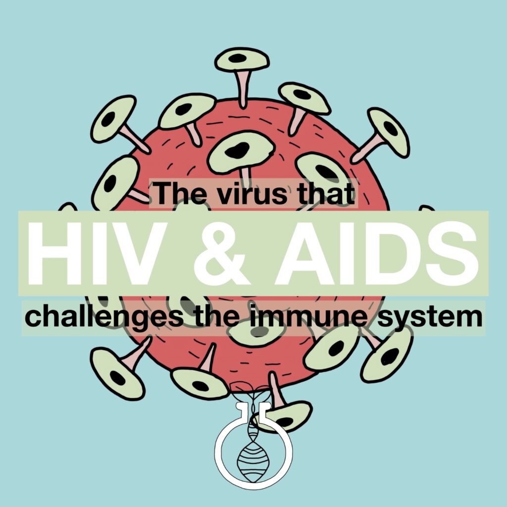 What is Really HIV and AIDS?